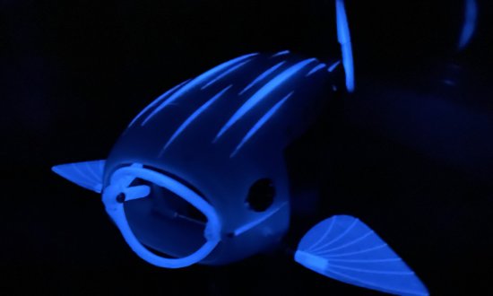暗い水中で青く光るロボフィッシュ　出展：サリー大学